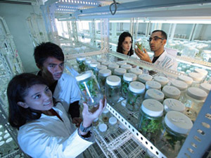 Science Laboratory 攻击网站在线工具